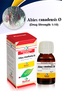 ABIES CANADENSIS Ã˜