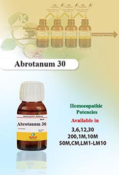 Abrotanum