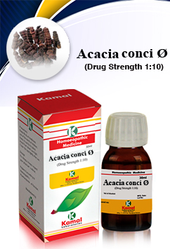 ACACIA CONCI Ã˜