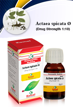 ACATEA SPICATA Ø