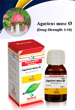 AGARICUS MUSC Ø