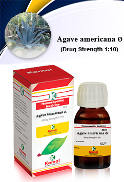 AGAVE AMERE Ø