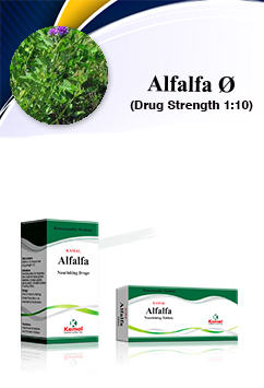 ALFALFA  Ø