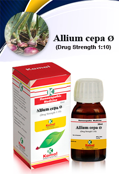 ALLIUM CEPA Ã˜