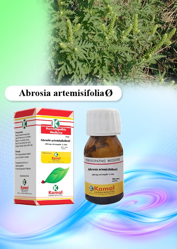 AMBROSIA  ARTHEMISIAEFOLIA  Ã˜