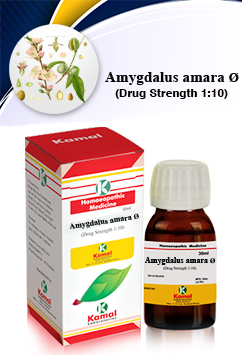 AMYGDALUS AMARA Ã˜