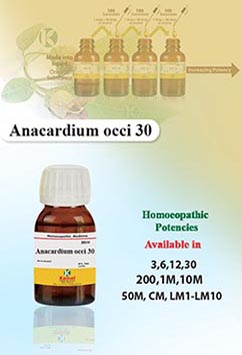 Anacardium occi