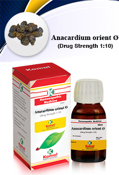ANACARDIUM ORIENTALE Ã˜