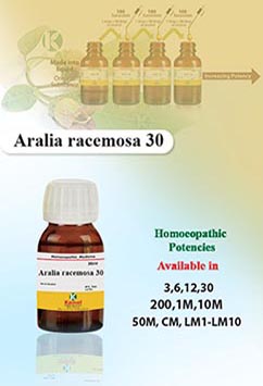 Aralia racemosa