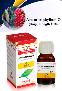 ARUM TRIPHYIIUM Ã˜