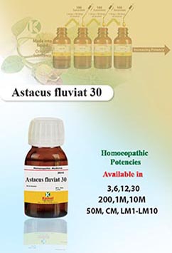 Astacus fluviatilis