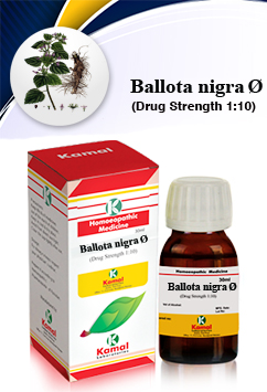 BALLOTA NIG Ã˜