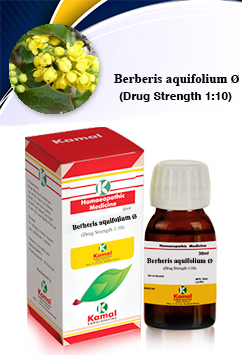 BERBERIS AQUIF Ø