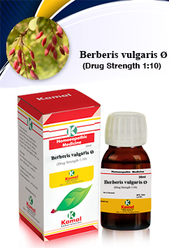 BERBERIS VULG Ø