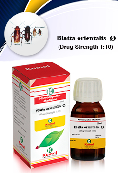 BLATTA ORIENT Ã˜