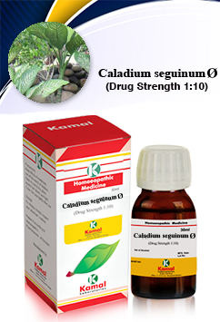 CALADIUM Ø