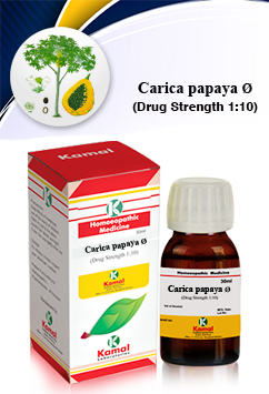 CARICA PAPAYA Ã˜