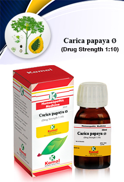 CARICA PAPAYA Ø