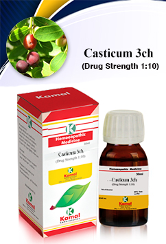 CASTICUM 3CH