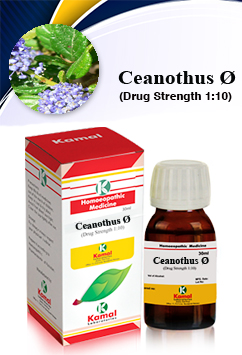 CEANOTHUS  Ø