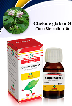 CHELONE GLABRA  Ã˜