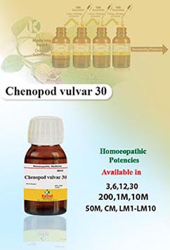Chenopod vulvar