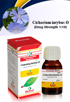 CICHORIUM INTYB  Ã˜