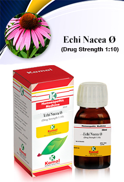 ECHINACEA  Ã˜