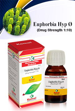 EUPHORBIA HYP  Ã˜