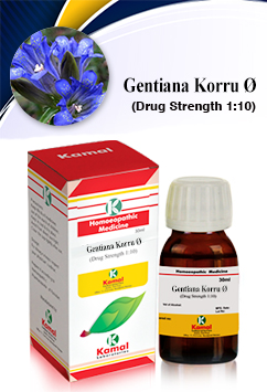 GENTIANA KORRU  Ã˜