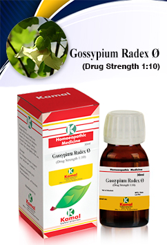 GOSSYPIUM RADEX   Ã˜