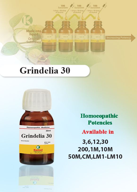GRINDELIA