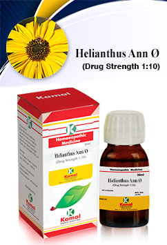 HELIANTHUS ANN   Ã˜