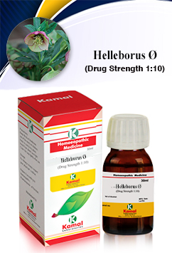 HELLEBORUS  Ã˜