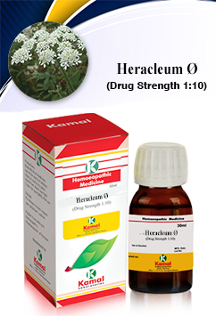 HERACLEUM   Ã˜