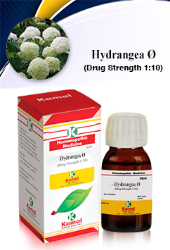 HYDRANGEA  Ã˜