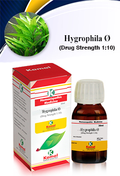 HYGROPHILA   Ã˜