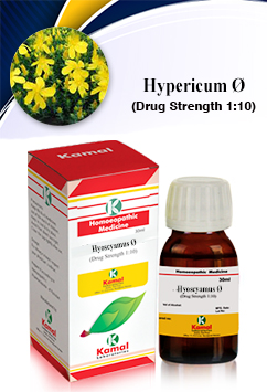 HYPERICUM   Ø