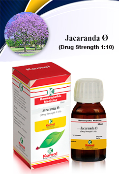 JACARANDA  Ø