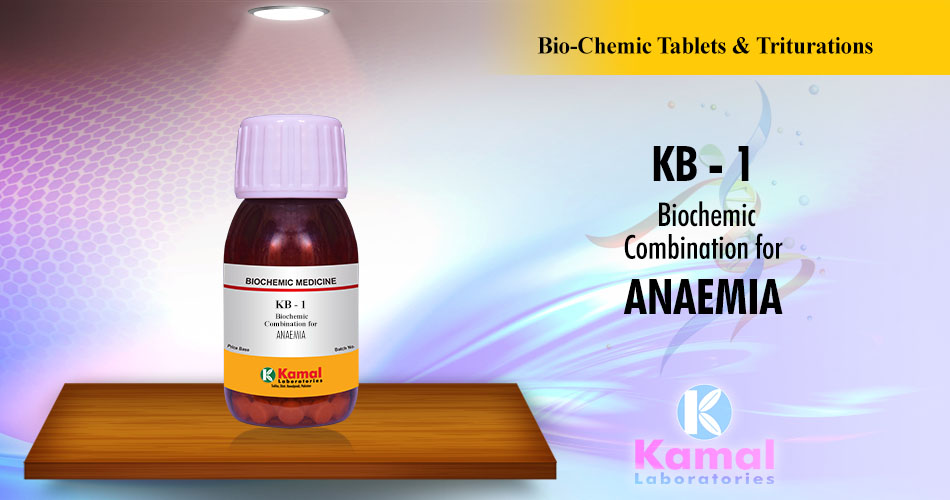 KB-1 (500gm Lactose base)