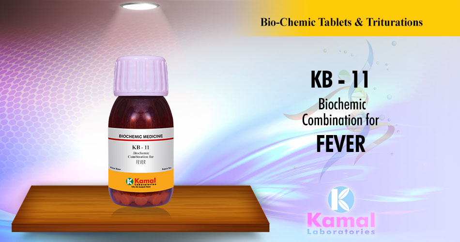 KB-11 (500gm Lactose base)