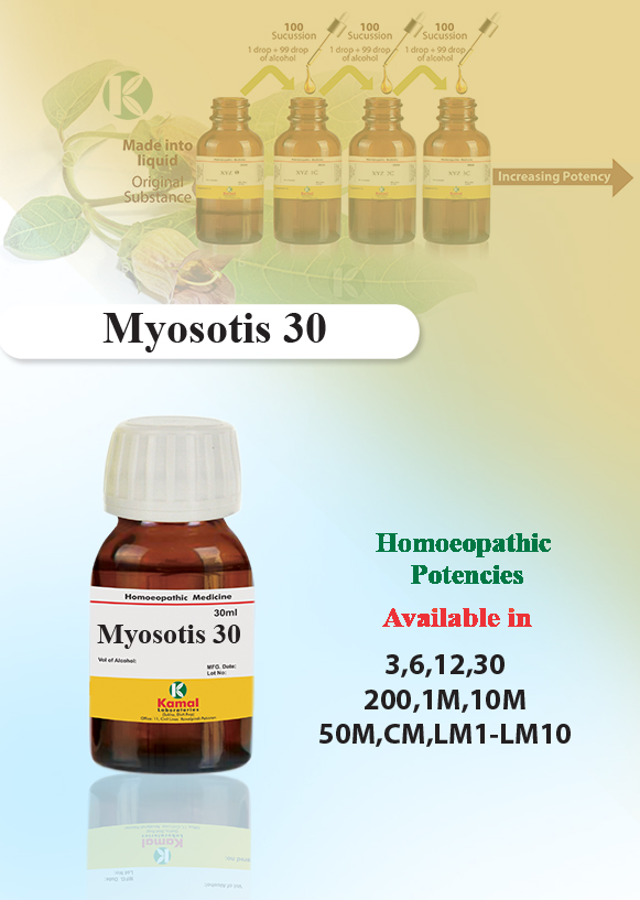 Myosotis