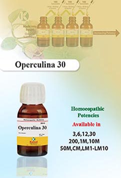 Operculina