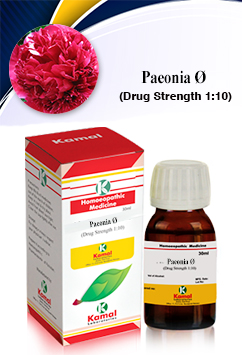 PAEONIA  Ã˜