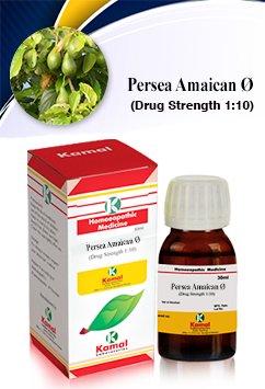PERSEA AMAICAN  Ã˜