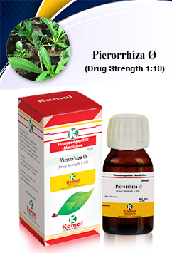 PICRORRHIZA Ã˜