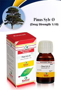 PINUS SYLV Ã˜