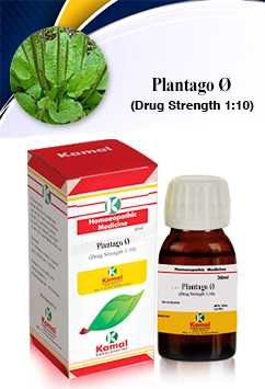 PLANTAGO Ø