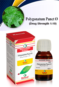 POLYGONATUM PUNCT Ã˜