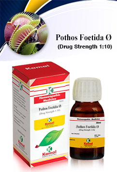 POTHOS FOETIDA Ã˜